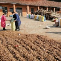 廠家批發湖北隨州油茶籽殼、茶粕、現貨量大從優