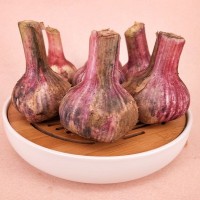 山東大蒜一件代發 干蒜，大干蒜 專業倉儲 ERP對接 5斤裝