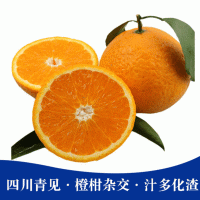 現(xiàn)貨品質(zhì)新鮮四川青見甜橙蜜柑雜交水果 10斤整箱細嫩汁多化渣