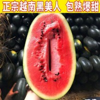 西瓜黑美人西瓜薄皮黑美人西瓜應季新鮮水果現(xiàn)貨皮薄多汁
