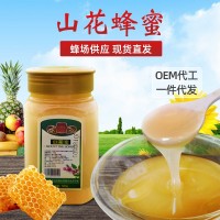 現貨供應農家土蜂蜜 500g結晶山花蜂蜜 土特產洋槐蜂蜜一件代發(fā)