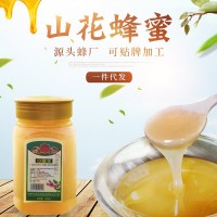 現貨供應土蜂蜜結晶山花蜂蜜500g瓶裝土特產洋槐蜂蜜一件代發(fā)