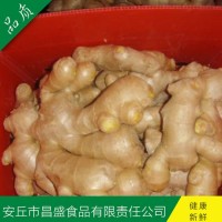 出口歐美、加拿大、荷蘭、英國級(jí)保鮮姜、風(fēng)干姜（價(jià)格面議）