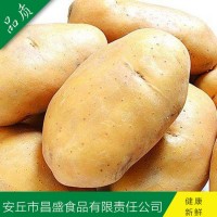 供應(yīng)出口中東、東南亞級保鮮荷蘭7號、15號（價格面議）