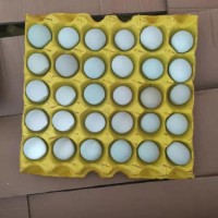 精品小綠殼蛋，凈重30-35斤，日撿日發
