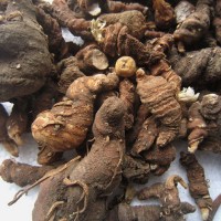 中藥材供應 重樓 七葉一枝花 原產地批發(fā)直銷