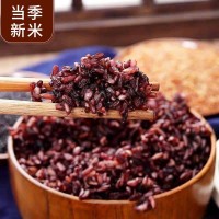 農產品五谷雜糧三色糙米新米糙米飯黑米紅米 健身胚芽脂減 粗糧飯