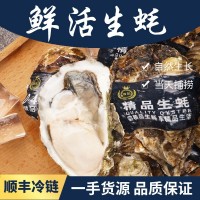 山東乳山帶殼新鮮生蠔500g鮮活牡蠣海鮮批發海蠣子代發廠家