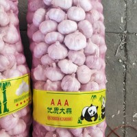 大蒜公司，源頭工廠供應(yīng)金鄉(xiāng)出口大蒜，超市大蒜