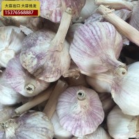 供應(yīng)金鄉(xiāng)大蒜 大蒜出口殘次品2kg 28元 ，不影響使用，美觀度欠，