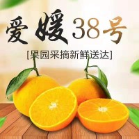 愛媛38號果凍橙柑橘紅美人手剝果凍橙孕婦丹棱愛媛新鮮水果代發