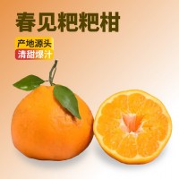 gc四川春見耙耙柑粑粑柑杷杷柑正宗水果新鮮整箱當季批發