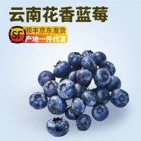 【京東快遞】云南花香藍莓L25鮮果新鮮水果中特大果當季時令批發