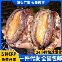 鮑魚肉去殼去內臟冷凍鮮活大鮑魚新鮮佛跳墻食材海鮮燒烤煲湯商用
