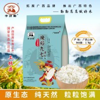 香軟絲苗米5kg長(zhǎng)粒香大米10斤一袋新鮮南方秈米家用餐飲大米批發(fā)
