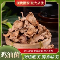 云南原產地野生雞油菌干貨燉湯煲養生湯菌湯食材雞油菌批發500g