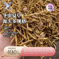燕大哥品牌溯源冬蟲夏草 西藏那曲蟲草凍干蟲草認證 招商加盟代發(fā)