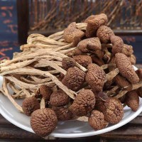 500g 現(xiàn)貨批發(fā)農(nóng)家茶樹菇干貨 散裝包裝新鮮茶薪菇煲湯