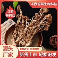 江西廣昌5號(hào)茶樹菇干貨批發(fā)農(nóng)家特產(chǎn)新鮮菌菇散裝菌菇類煲湯材料