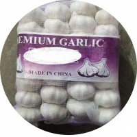 金鄉(xiāng)出口倉庫直發(fā)蒜頭雜交白蒜紅蒜小網(wǎng)袋裝新鮮紅皮白皮大蒜