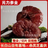 正品南韓原枝無糖高麗參250克足干5年根支參味濃紅參人參煲湯泡水