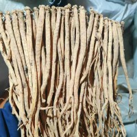【康源】黨參個(gè)批發(fā)優(yōu)質(zhì)整條黨參優(yōu)質(zhì)貨源產(chǎn)地直供