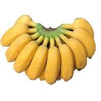 包郵帶箱十斤云南甜香蕉自然熟當(dāng)季新鮮水果廣西小米蕉芭蕉批發(fā)