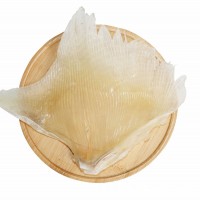 廠家批發天九翅魚翅海狗翅海鮮煲湯蒲魚翅天星翅電商零售海鮮干貨