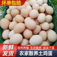 老母雞蛋皖南土雞蛋五谷喂養(yǎng)走地散養(yǎng)谷物蛋現(xiàn)撿速發(fā)順豐蟲草蛋