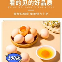 可生食富硒無抗雞蛋無激素?zé)o農(nóng)殘新鮮柴現(xiàn)撿雞蛋180枚雞蛋批發(fā)