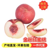 煙臺晚熟水蜜桃產(chǎn)地包郵桃子 新鮮現(xiàn)摘現(xiàn)發(fā)脆甜多汁大果 金秋紅蜜