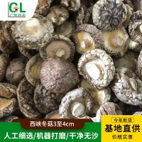 西峽冬菇3至4cm香菇干貨肉厚無根新鮮干香菇細選冬菇小蘑菇批發