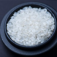 五常大米1斤2斤5斤10斤東北新米稻花長粒香米一件廠家批發代發