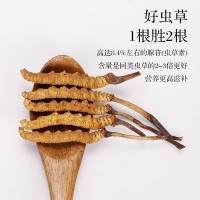 西藏那曲高海拔冬蟲夏草蟲草瓶裝6根裝足干10根冬蟲夏草自吃蟲草