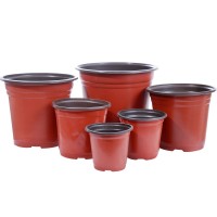 雙色盆育苗盆多肉種植盆大號營養缽育苗盆一次性塑料加厚簡約花盆