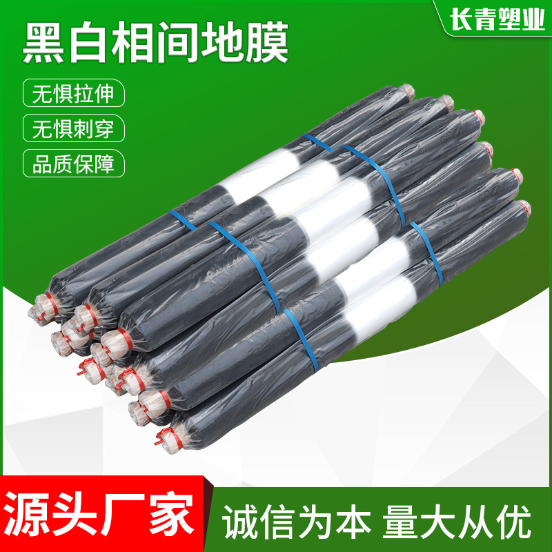 O1CN01kgOZRR2I0e8TxKNF1_!!2015029224-0-cib