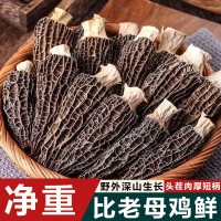【無干燥劑發(fā)貨】羊肚菌新鮮干貨煲湯云南菌菇牛肚菌火鍋食材批發(fā)