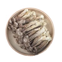 【廠家批發(fā)】一級(jí)鹿茸菇干貨農(nóng)產(chǎn)品菌菇500g整條無硫煲湯食材鮮嫩
