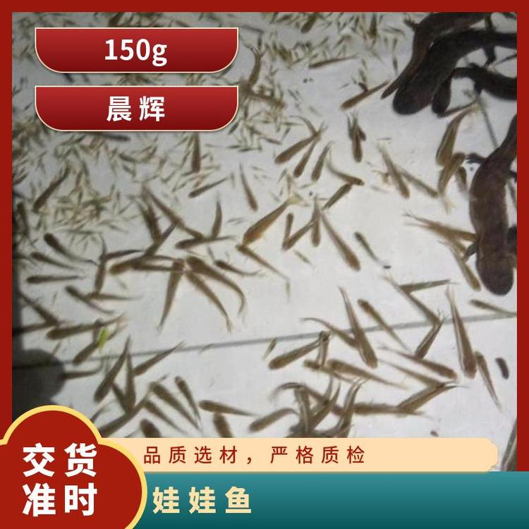 u=4132928737,430970738&fm=199&app=68&f=JPEG_w=750&h=750&s=D0E608F70041C0EF5C0985DB03005031