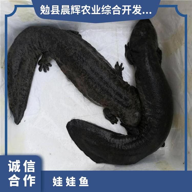 u=3327833478,4031102367&fm=199&app=68&f=JPEG_w=750&h=750&s=E7905388C2E234B486A9540B0300E0C0