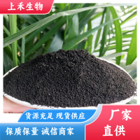 育苗基質專用 發酵純羊糞 肥效久不燒苗 土地整改項目專用 廠家供應