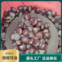 供應遷 西板栗 糖炒栗子 香甜軟糯 正宗特產 品質過硬