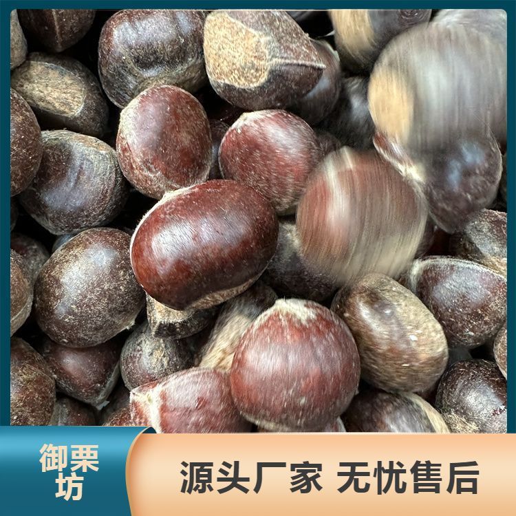 u=1073399465,3527436370&fm=199&app=68&f=JPEG_w=750&h=750&s=3A304985C4C2B2F8400055BF0300C010