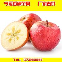 xianglu188880809025 (3)
