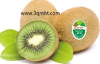 sqmht1439018 (4)