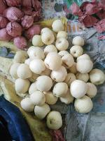 lqmeixuan2012000 (1)