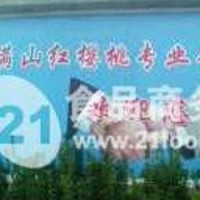 河北核桃苗河北優質核桃苗石家莊核桃苗石家莊優質核桃苗滿山紅  1000棵