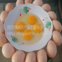 西安土雞蛋供應 10斤
