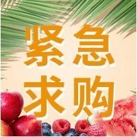 采購品種：圣女果釜山88