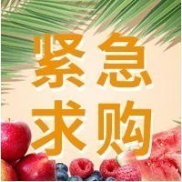 采購品種：水果筍